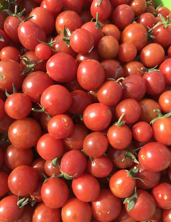 Cherry Tomato- Sweetie